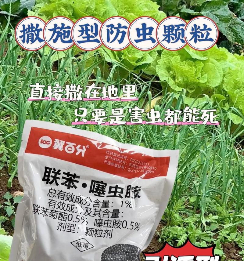 种植玫瑰花需要哪些防虫药物？如何正确使用？