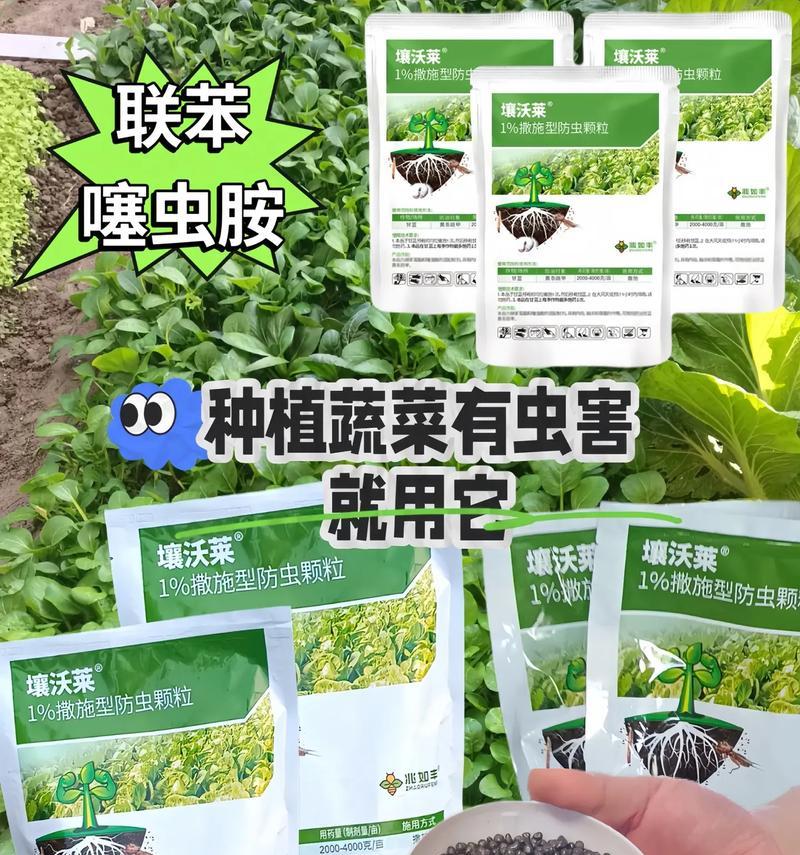 种植玫瑰花需要哪些防虫药物？如何正确使用？