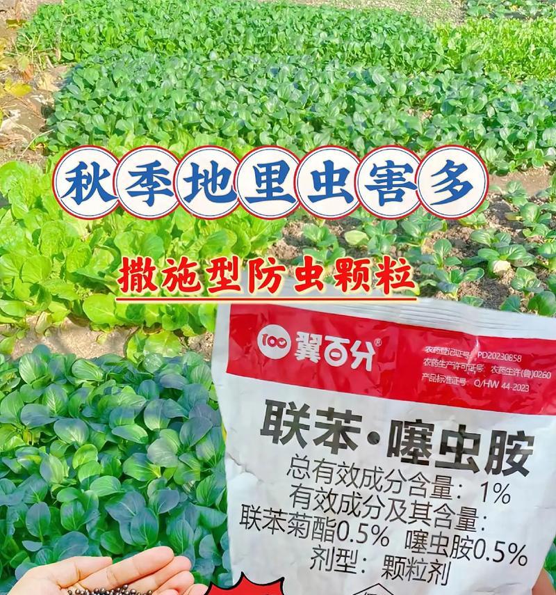 种植玫瑰花需要哪些防虫药物？如何正确使用？