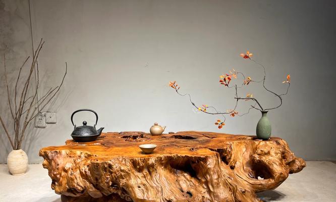 茶桌仙人掌盆栽如何养护？管理茶桌仙人掌的秘诀是什么？