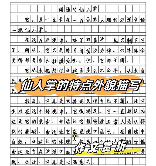 如何用仙人掌制作作文中的泥土？作文中如何描述？