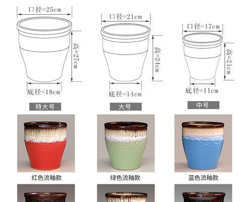 君子兰小钩花在小花盆中如何养护？有哪些注意事项？