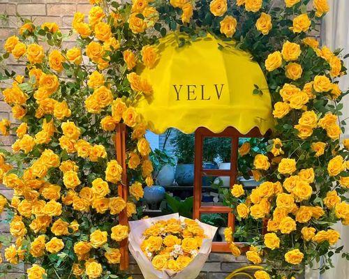 红黄玫瑰假花的养护技巧是什么？