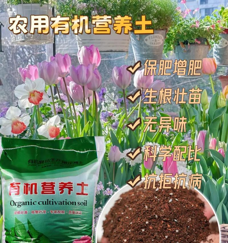 玫瑰花专用营养土肥料有何特点？