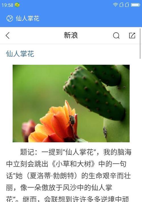 双层花瓣仙人掌的装饰技巧是什么？