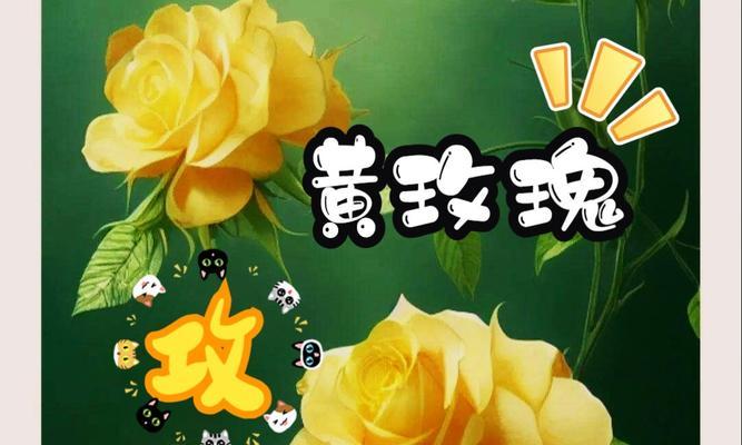 黄色玫瑰作为礼物送给老师代表什么花语？