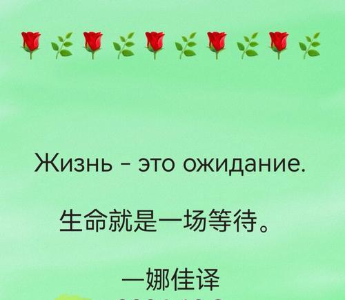 “原地等你”的花语有何深意？表达等待的花语有哪些？