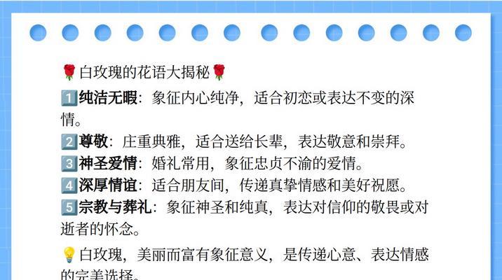 白玫瑰的花语含义是什么？它代表了哪些情感？