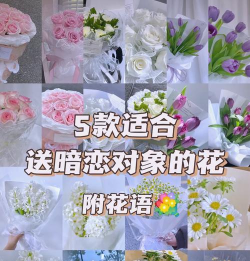 哪种玫瑰代表暗恋的花语？