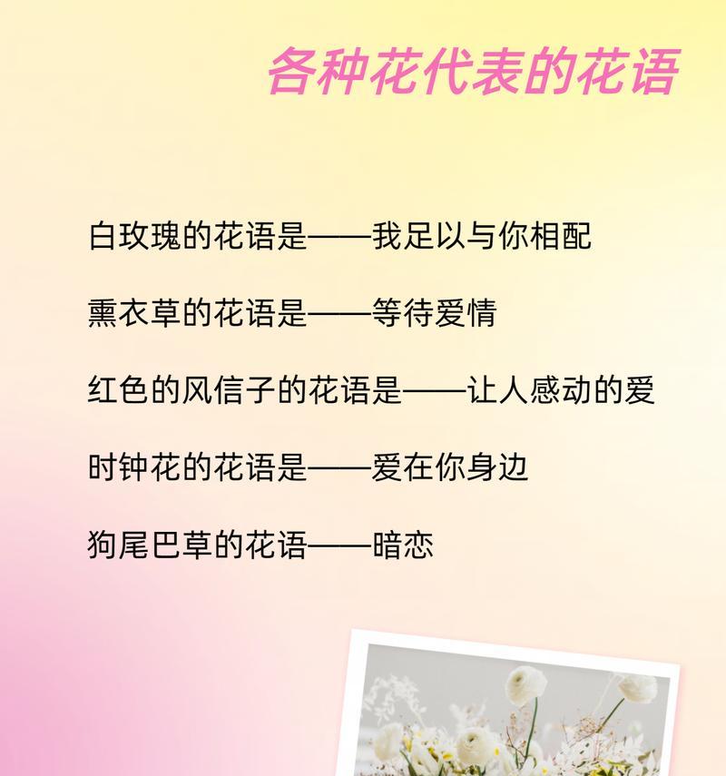 白玫瑰通常表达什么情感？白玫瑰花语有哪些含义？