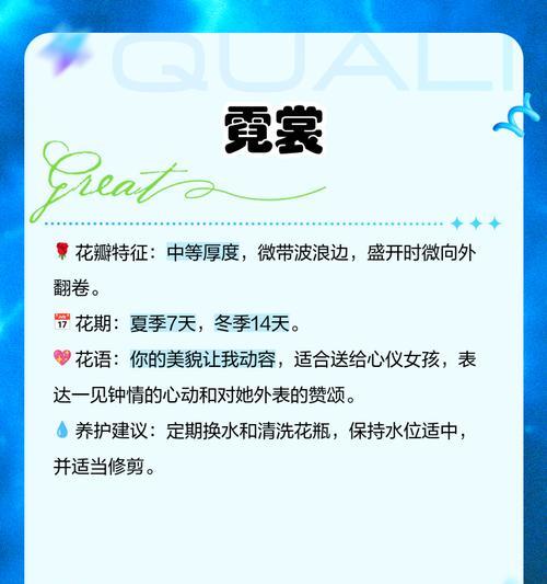 日本花语中表达心动告白的含义是什么？