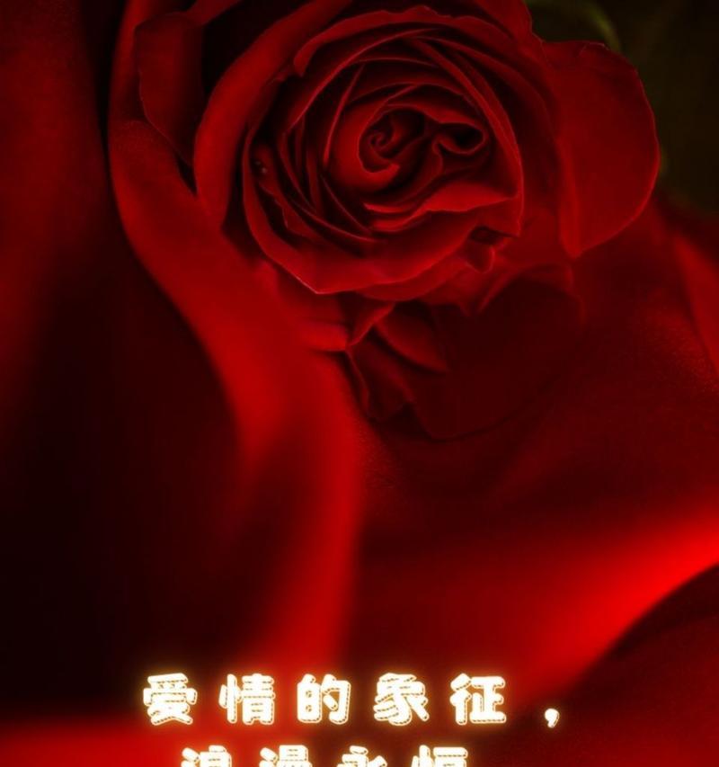赠予玫瑰的花语有何深层含义？