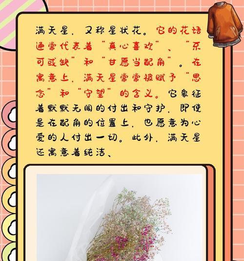 丢失的爱的花语是什么？它表达了怎样的情感？
