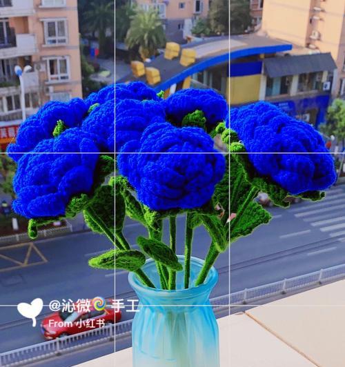 蓝色不谢玫瑰花有何寓意？