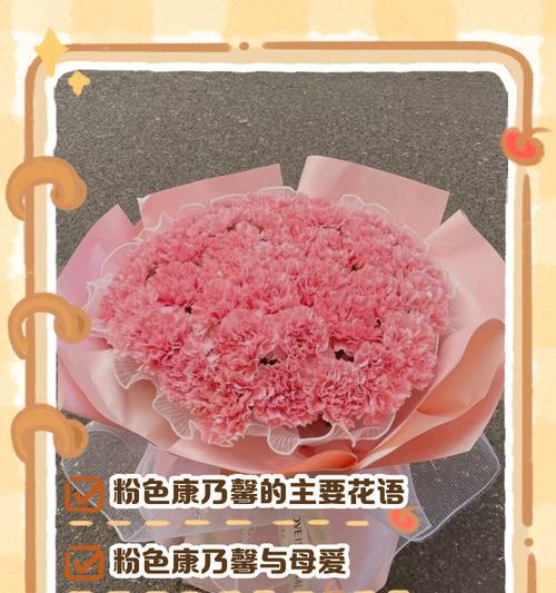 康乃馨的品尝花语有何含义？