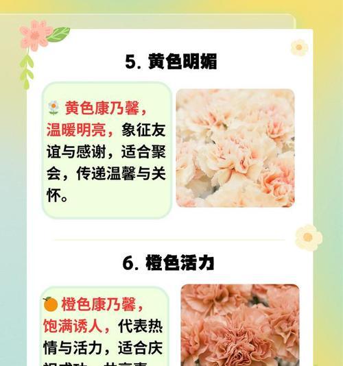 康乃馨的品尝花语有何含义？