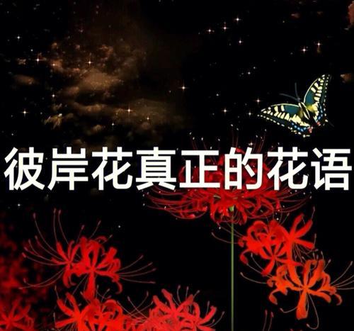 彼岸花的真正花语有哪些？