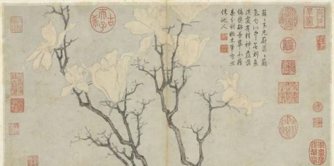 禅林花语是什么意思啊怎么读？禅林花语的含义是什么？