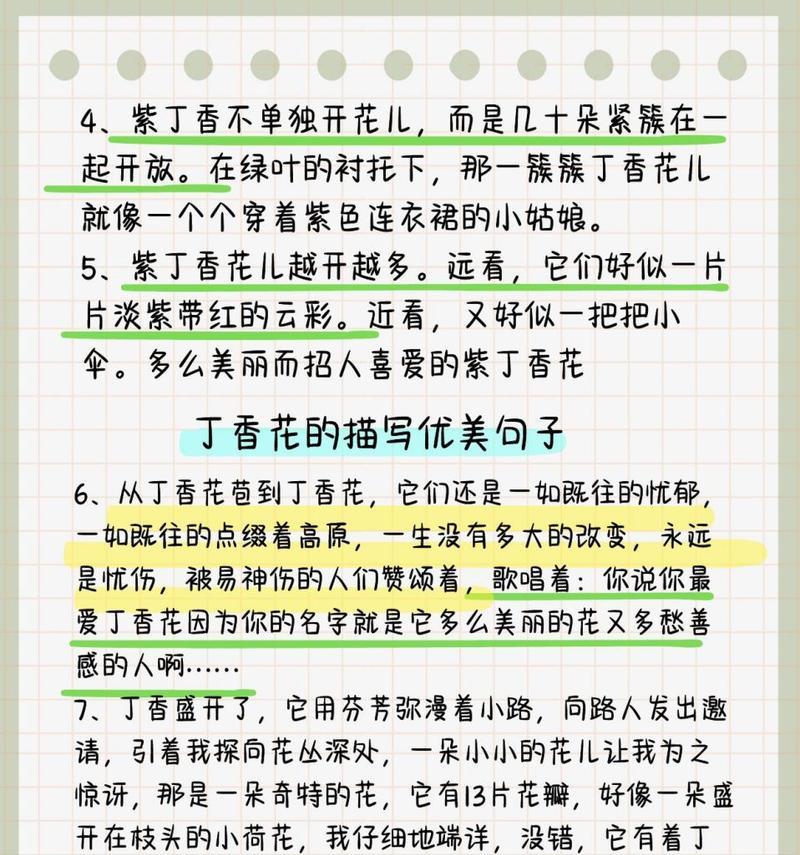 丁香姑娘花语有何深意？