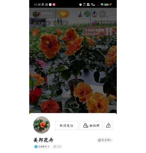 槿花的寓意和花语是什么？