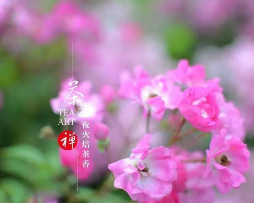 红叶代表什么花语？红叶的象征意义是什么？