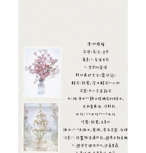哪种花表示等待友情？它的花语是什么？