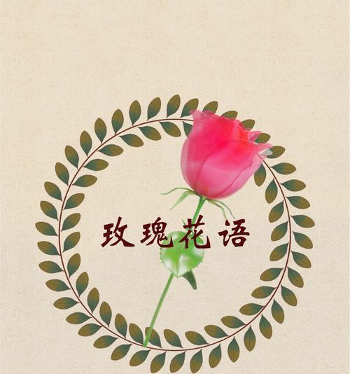 哪种花代表喜欢？喜欢的花语是什么？