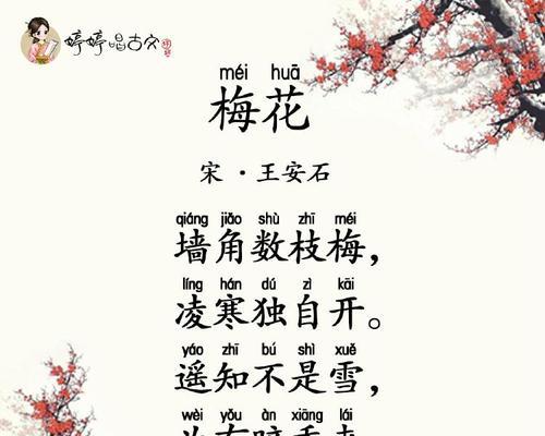 问花村梅花的花语有何特别之处？