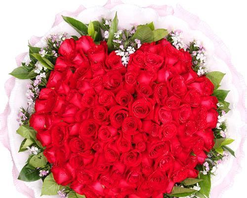 红色梅花的花语和寓意是什么？它象征着什么？