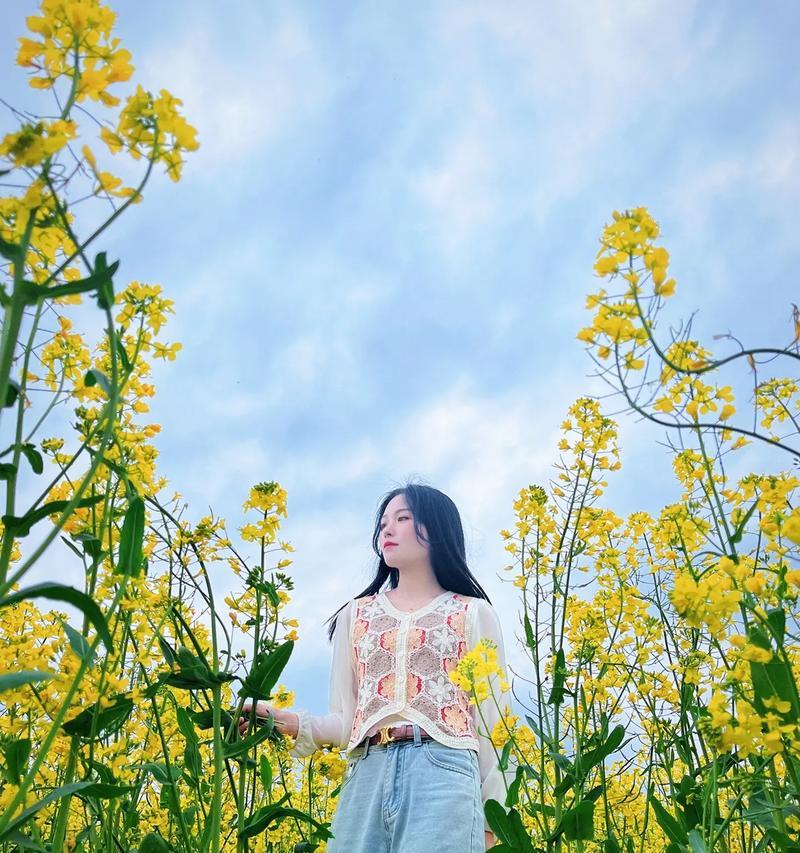 油菜花植物大全花语是什么？油菜花的花语有哪些？
