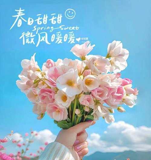 春风有信花开有期是什么花语？这句花语传达了什么样的信息？