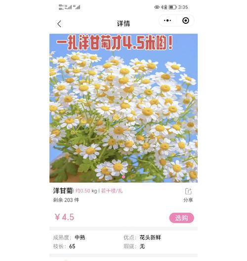 洋甘菊适合搭配哪种花语？