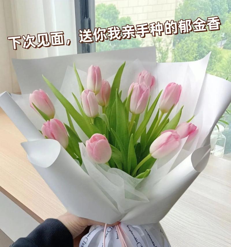 赠送花盆的郁金香花语代表什么？有何特别意义？
