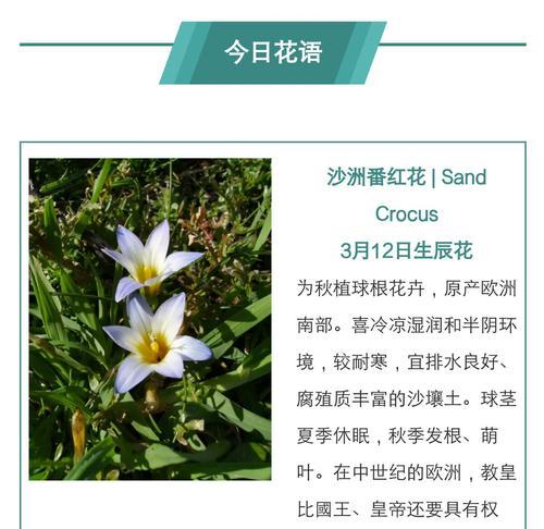 “前进一步”这个动作在花语中代表什么？