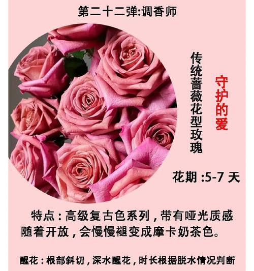 千万里守护你的花语是什么？它表达了怎样的深情？