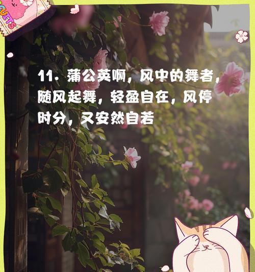 蒲公英的花语及其文化意义是什么？