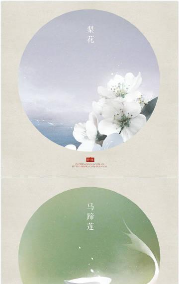 杏花与梨花的花语分别是什么？花言花语用什么颜色表示？