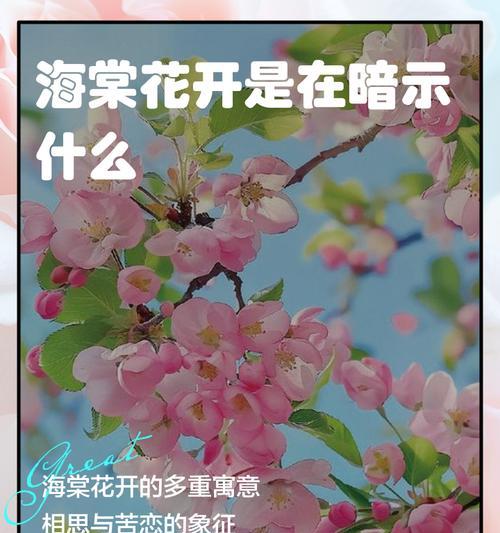 海棠花开了代表什么？花语有哪些含义？