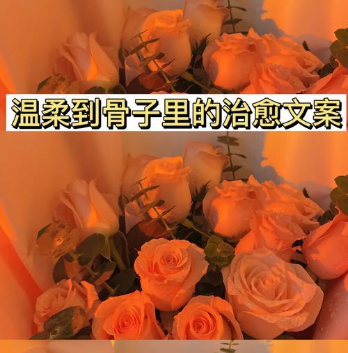 只做自己是什么花的花语？这种花语鼓励了怎样的生活态度？