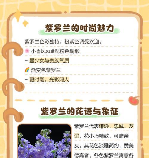 茉莉小香风的花语是什么？茉莉小香风代表的寓意是什么？