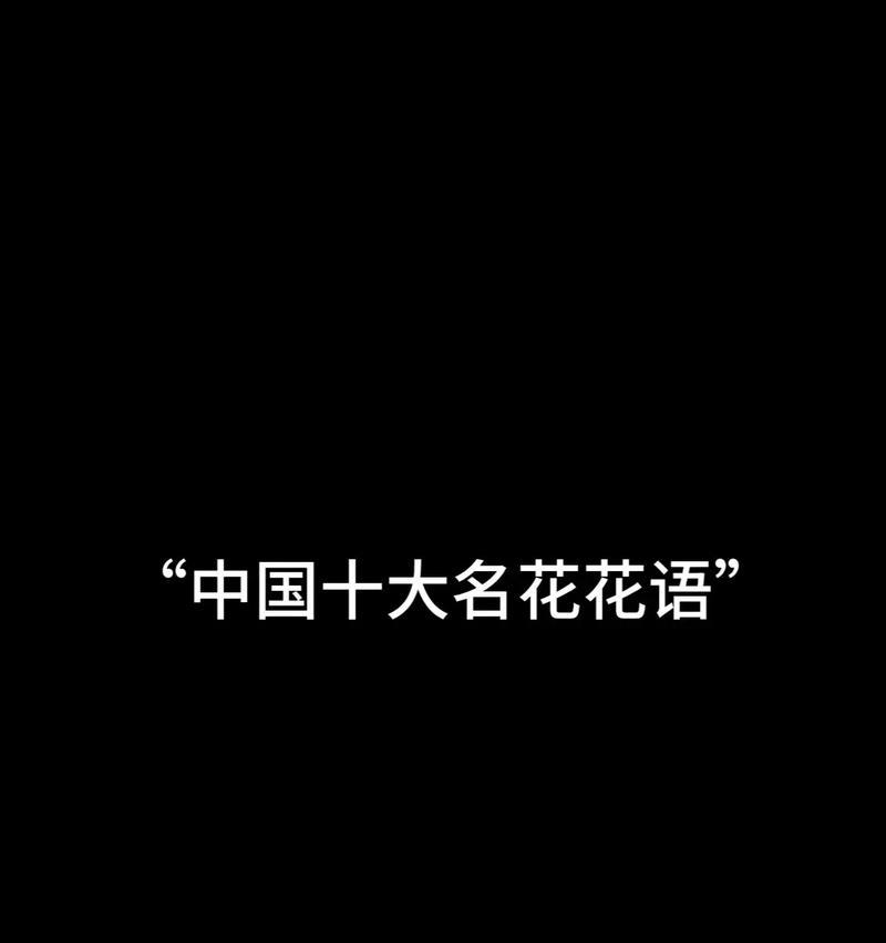 哪种花语象征独立？如何用花语表达独立精神？