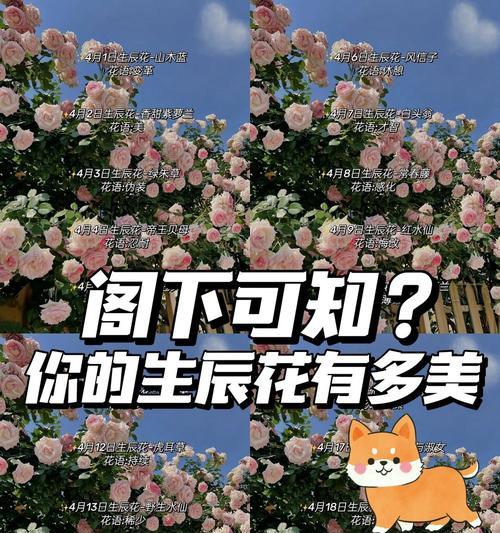 哪种花的花语具有隐喻性质？