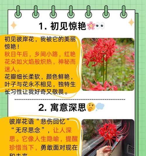 哪种花的花语具有隐喻性质？