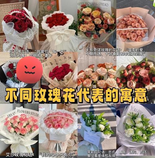 送女生玫瑰花应该选择什么颜色？不同颜色玫瑰的花语是什么？