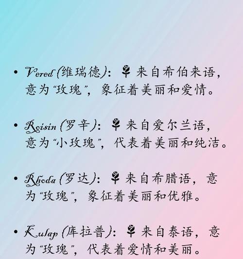 开罗拉玫瑰代表了怎样的情感？