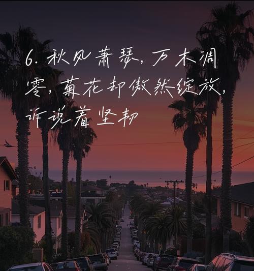 大叶桉的花语是什么？怀菊花的花语象征与寓意又是什么？