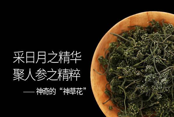人参花的花语是什么？人参花代表什么寓意？