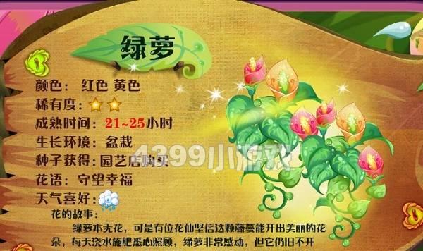 绿萝的花语有哪些含义？它象征着什么？