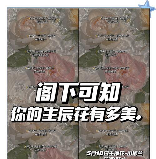生日时抽钱的花语有何含义？