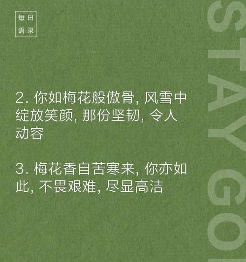 雪玫瑰的花语文案有何深意？花语表达的是什么？